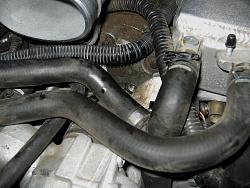 Supercharger oil change - pics-p1365224052-4.jpg
