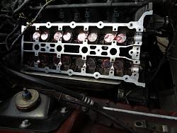 Help with engine knock/tap and loping - New Member-dsc00280.jpg