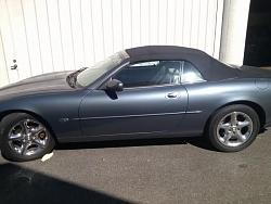 New member of the family-dsnyder586-105525-albums-garage-beast-5197-picture-cam00254-17209.jpg