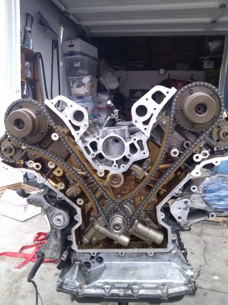 Please Help with XK8. Wont Start. Fear Timing Chain 