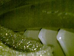 Blower Fan Noise (fan hitting insulation)-image2.jpg