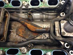 XJR Serious Coolant Leak-null_zps6e800d23.jpg