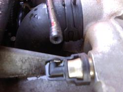 XJR hose issue, what is this hose?-coolant-hose-close-up.jpg