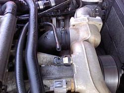 XJR hose issue, what is this hose?-xjr-coolant-hose.jpg