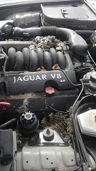 1999 XJ8 Turbo 6.0L 4L80e swap-imag0217_zps216f4db9.jpg