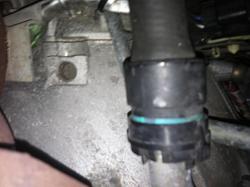 Octopus coolant hose-img_1660%5B1%5D.jpg