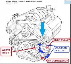 Oil leak xj8, left side, diagram help.-leak.jpg