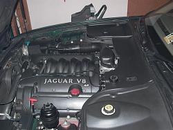 Do All 2001 VDP's say "JAGUAR" on the engine?-engine-left-side.jpg
