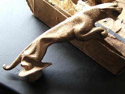A rare Leaper......-dscf4966.jpg