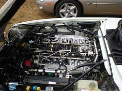 Car Show Season!-jag-ladysmith-2015-beach-015.jpg