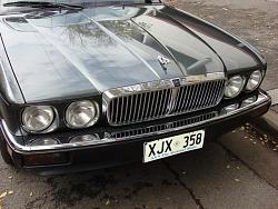 Mesh grill?-dsc00003r.jpg