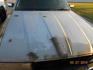 1990 xj40 update-clearcoat-removal-001.jpg