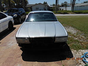 1990 xj40 update-xj40paint-004.jpg