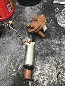 94 XJ6 Extreme loss of power while driving-cxvff8e.jpg