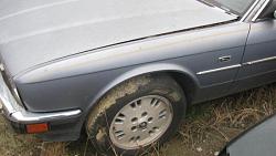 XJ40 outside side moldings (door guards)-xj40-drivers-side-fender.jpg