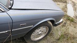 XJ40 outside side moldings (door guards)-xj40-passenger-side-fender.jpg
