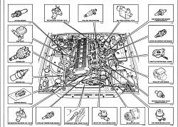 Component illustration-components.jpg