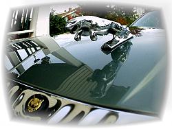 Soaked drivers floor mat-jag-1-soft-.jpg