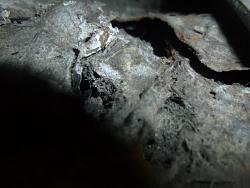 To weld or not to weld...-frontns3.jpg