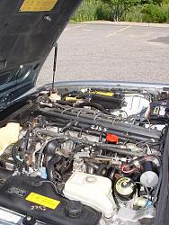 A Month With the Jag - Large Pics-dsc02094.jpg
