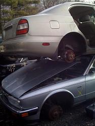 For the Love of Jags-111.jpg