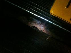 how bad is this front end rot? see pics-img_3571%5B1%5D.jpg