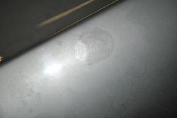 Spit and Polish-dsc_1361.jpg