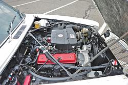 To those who have done a chevy conversion.-dsc_2530.jpeg