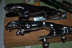 Spit and Polish-dsc_1379.jpg