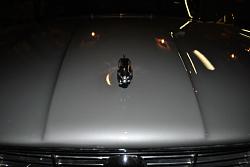 Spit and Polish-dsc_1443.jpg