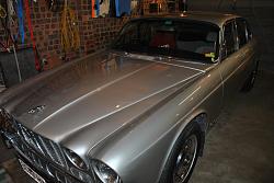 Spit and Polish-dsc_1445.jpg