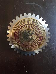 Old Grill Badge - restore or leave original?-img_4235.jpg