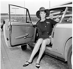 The Jaguar Mistique-jean-shrimpton-mystery.jpg