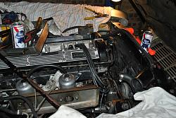 Radiator 101-dsc_9951.jpg