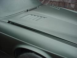 Cook an Egg on my Bonnet-louvers.jpg