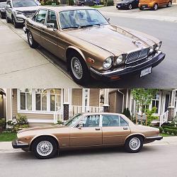 1987 Jaguar XJ6 Sovereign No Brake Lights-13043571_10156766221255231_5576099247834747004_n.jpg