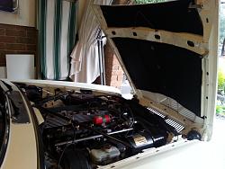 Bonnet - wider opening-20160507_164537%5B1%5D.jpg