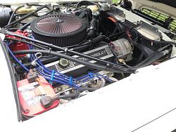 Let's see your Jaguar Xj6 Motor Pics!-image-1707223843.jpg