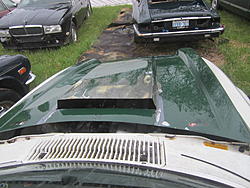 Question for the v8 conversions-xjs-hoods-002.jpg