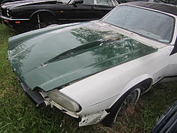 Question for the v8 conversions-xjs-hoods-001.jpg
