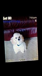 A shout out to Carl-inbox_138__draft_1425158795827.jpeg