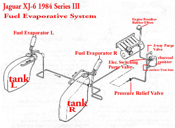 148872d1498621734-1987-jaguar-xj6-fuel-tank-pressure-84240d1400108096-short-but-intense-raw-fuel-smell-xj-6-evaporative-system.jpg