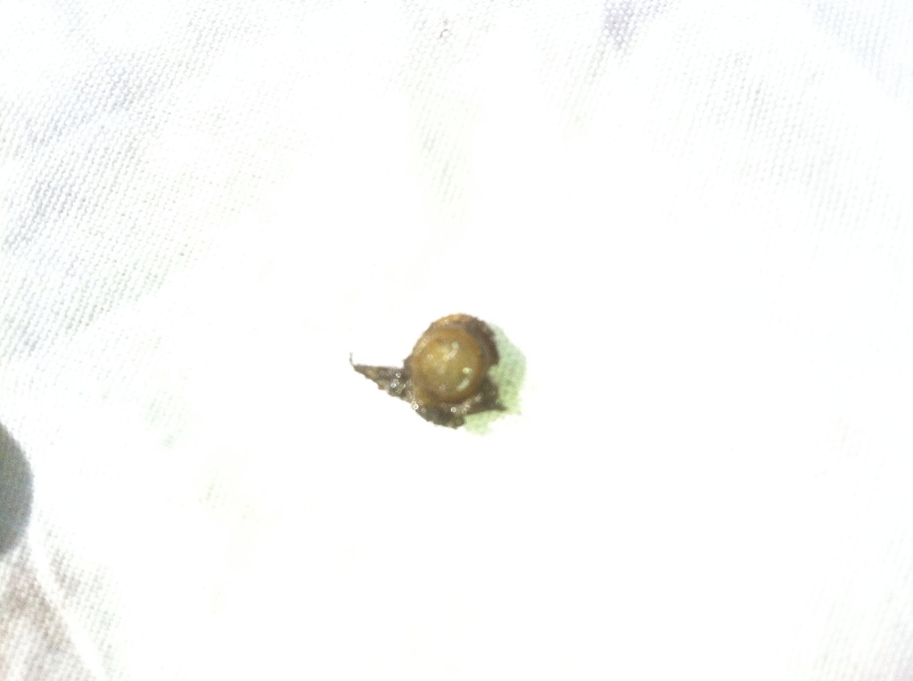 Name: 49AF99AB-FFD8-49AE-9B4E-ED6F7BD67EE5-1178-00000199CF4459DA.jpg
Views: 1406
Size: 89.9 KB