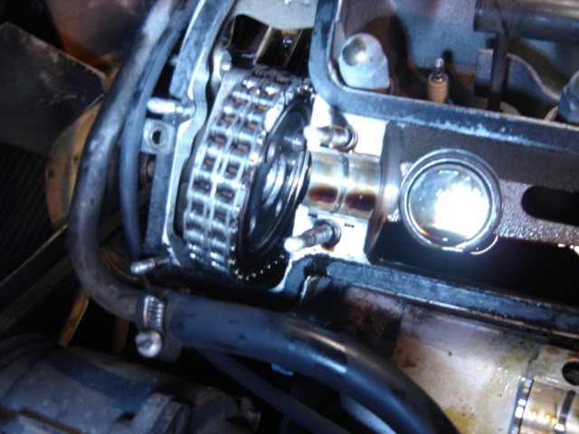 Name:  2exhaustcamgear.jpg
Views: 897
Size:  53.2 KB