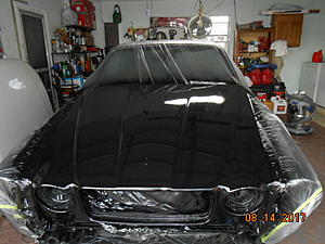 Getting ready for paint-paint-006.jpg