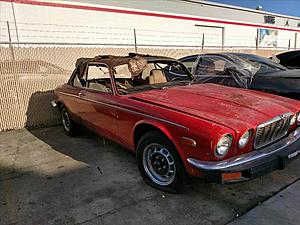 76 XJC-12 Restoration with Series 1 front end-jag8.jpg