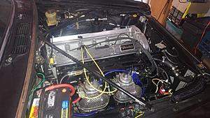 Extra fuel filters-0331180811-2-.jpg
