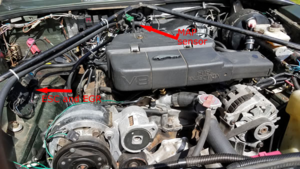 Engine Bay clean up-jaguar.png