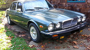 Strange advice-jag-pic.jpg