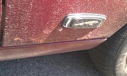 Rust-imag0243.jpg